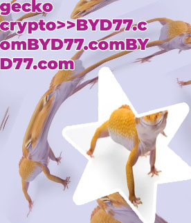 Crypto gecko