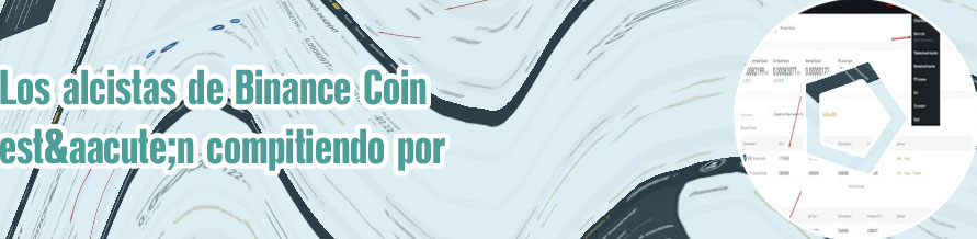 Precio bitcoin dolar binance