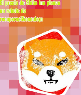 Shib