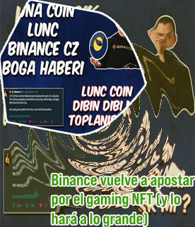 Tesla coin binance